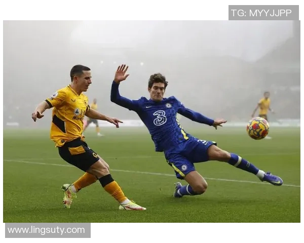 英超狼队足球明星的崛起与荣耀之路探秘